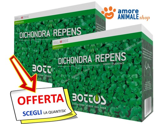 Bottos dichondra repens - bottos, →