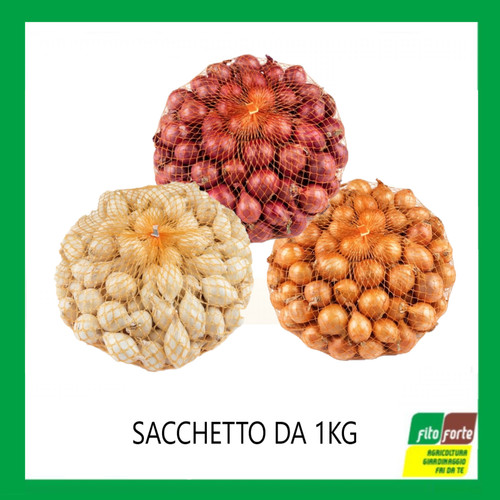 Bulbi cipolle rossa - di,