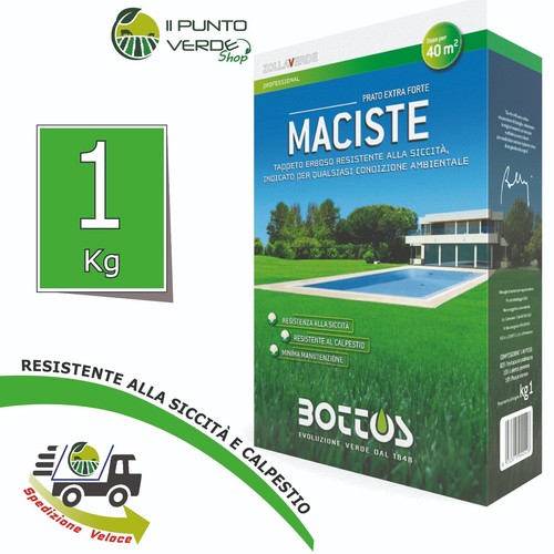 Bottos maciste 10 20 - 5,