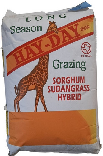 Sorgo seme varietà - hay, day