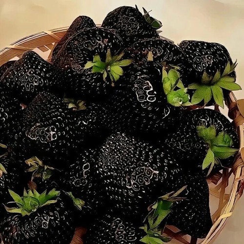 Fragola nera ulteriore - fragola,