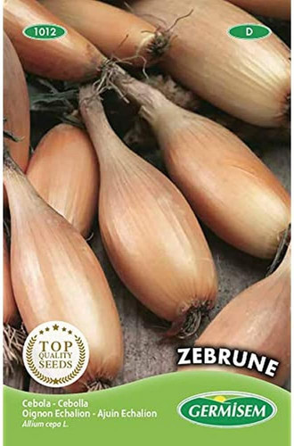 Zebrune semi scalogno - di, 3