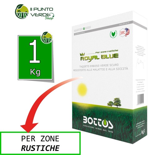 Bottos royal blue 2 - 1, /