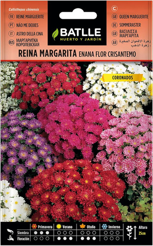 Batlle semi fiori astro - semi,