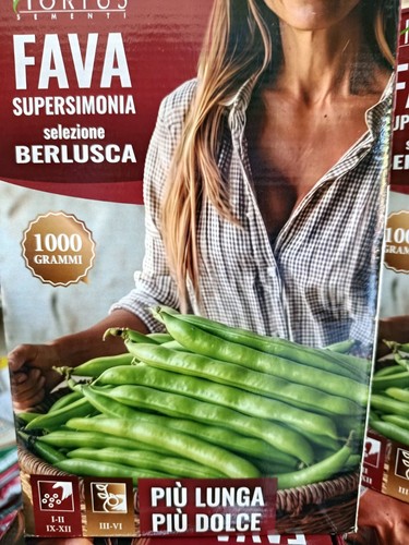 Semi fave berlusca da kg - berlusca,