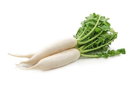 Semi sementi rafano - sementi, 1kg