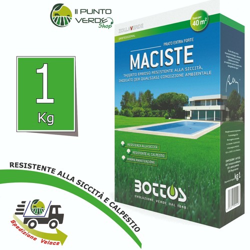 Seme per prato maciste - seme,