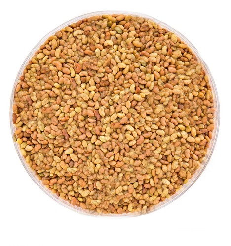 Semi erba medica - semi,