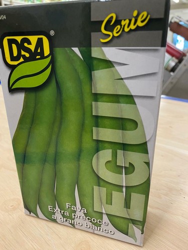 Semi sementi fava extra - sementi,