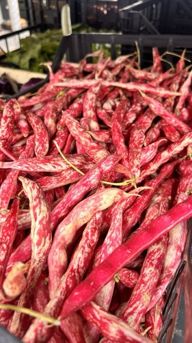 Fagioli borlotti locali - kg,