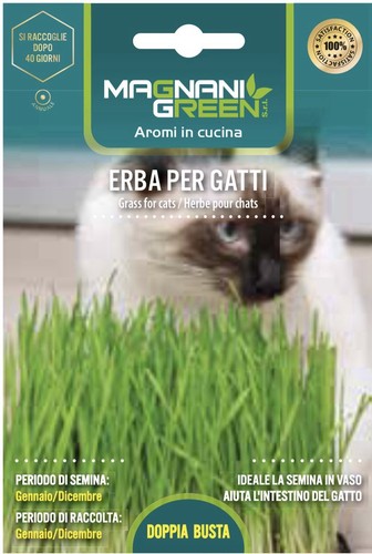 Buste seme aromatica erba - buste,