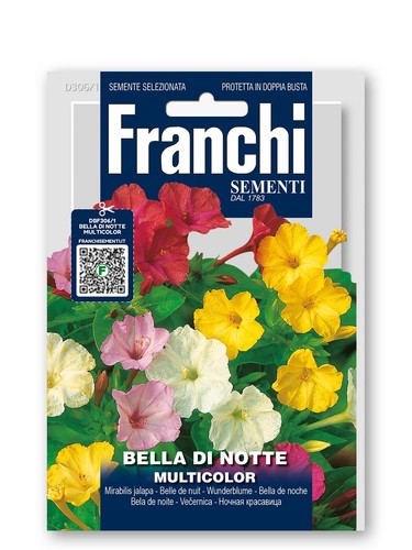 Semi bella notte - bella,
